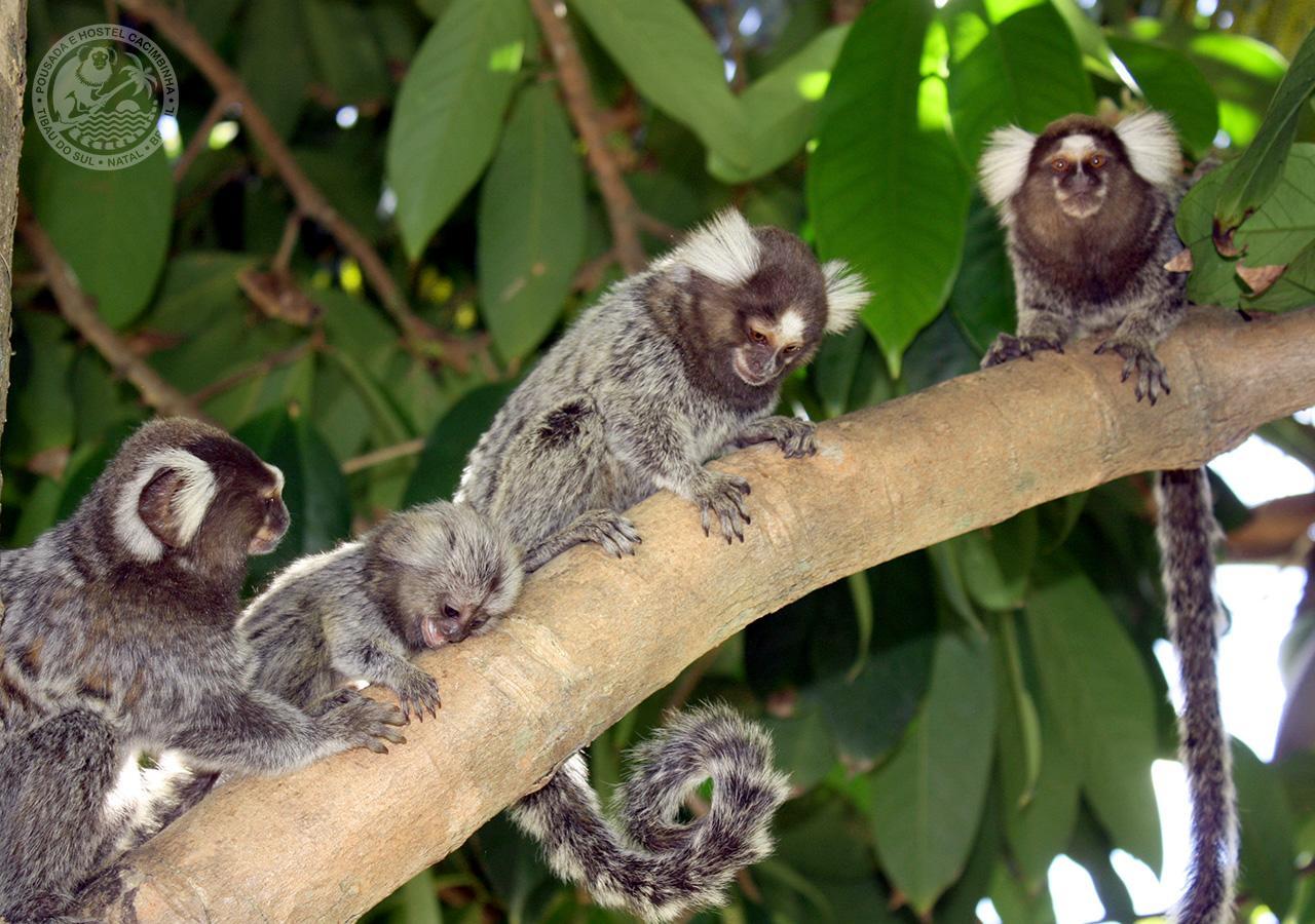 Pousada Cacimbinha - Epipa Hoteis Tibaú do Sul Exterior foto